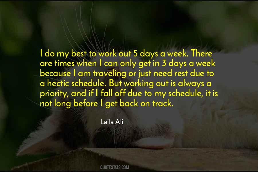Hectic Days Quotes #1104005