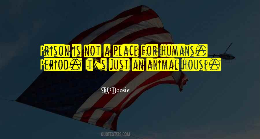 Animal House Quotes #1132476