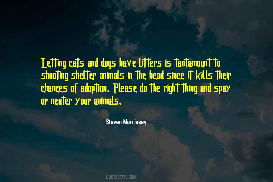 Animal Right Quotes #291136
