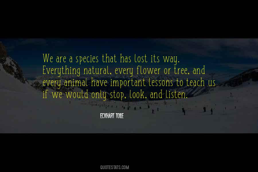 Animal Species Quotes #557067