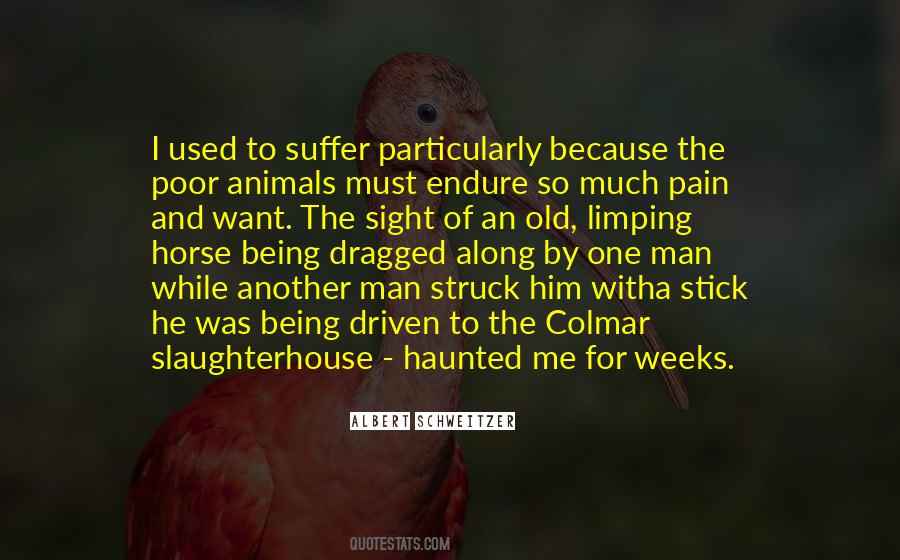 Animals And Man Quotes #283601