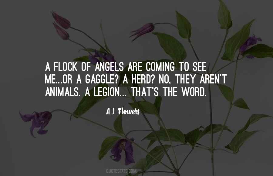 Animals Are Angels Quotes #1469806
