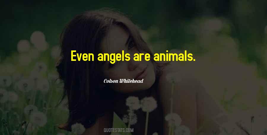 Animals Are Angels Quotes #999699