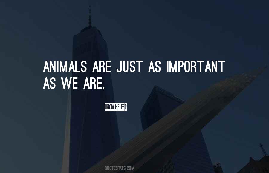 Animals Are Quotes #1017801