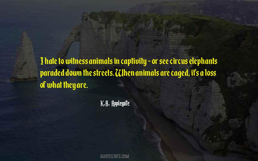 Animals Are Quotes #1198990