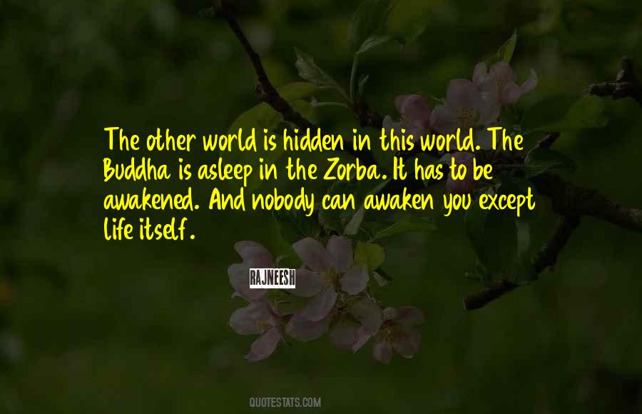 Hidden World Quotes #21815