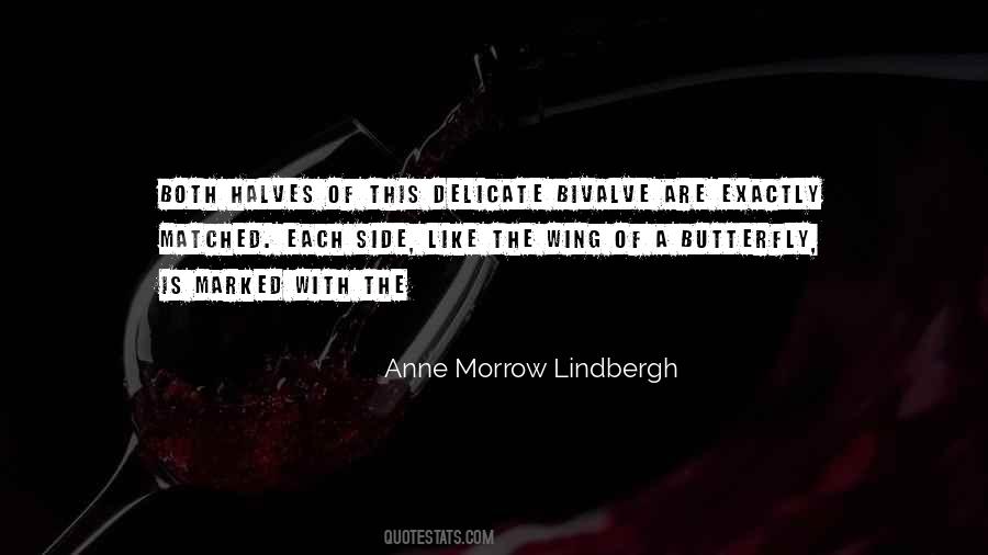 Anne Morrow Quotes #799413