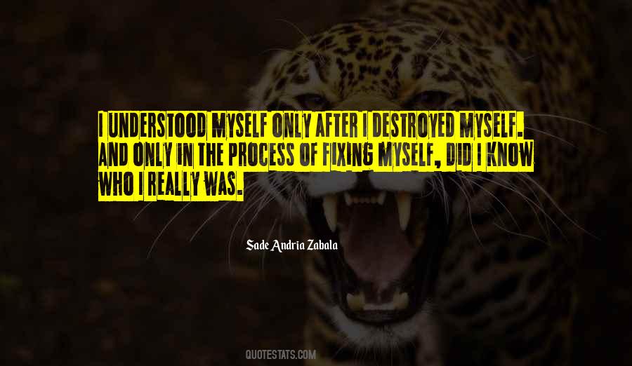 Understanding The Process Quotes #1322364