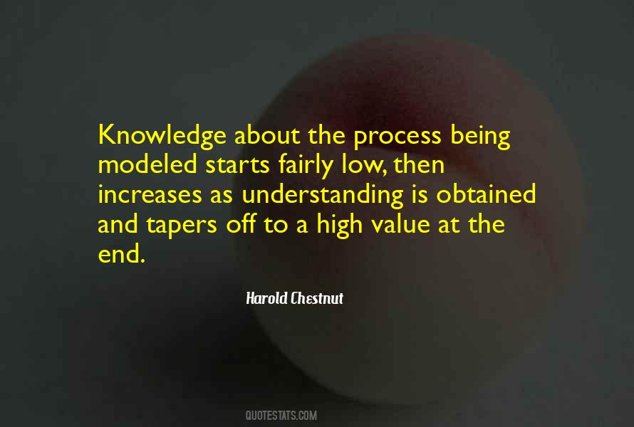 Understanding The Process Quotes #1642948