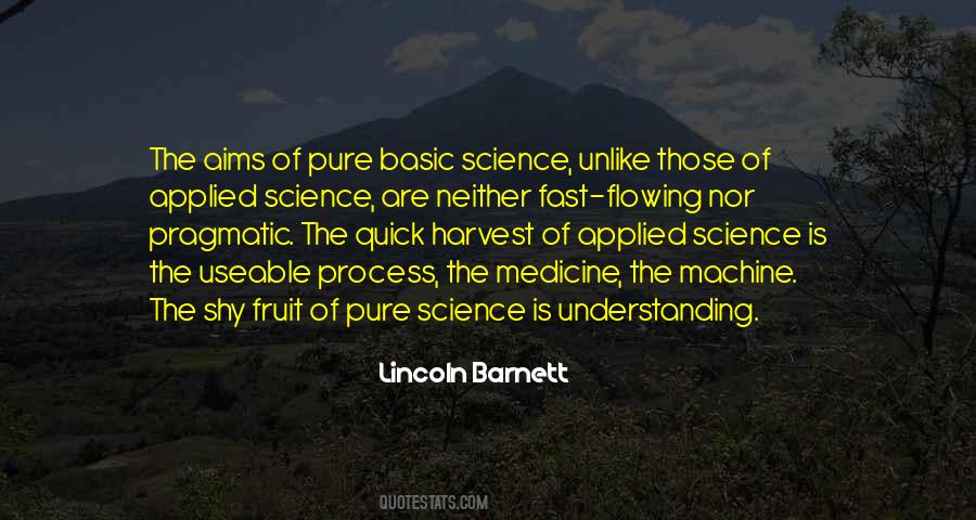 Understanding The Process Quotes #1661942