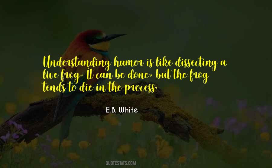 Understanding The Process Quotes #1715194