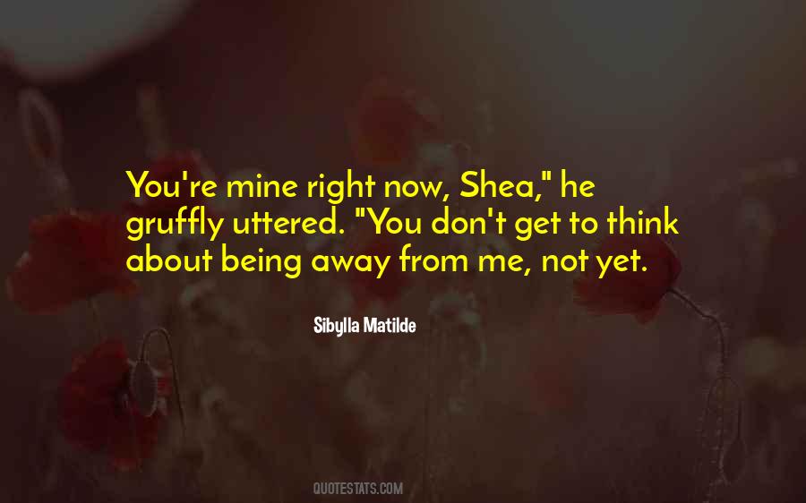 Shea Madison Quotes #668989