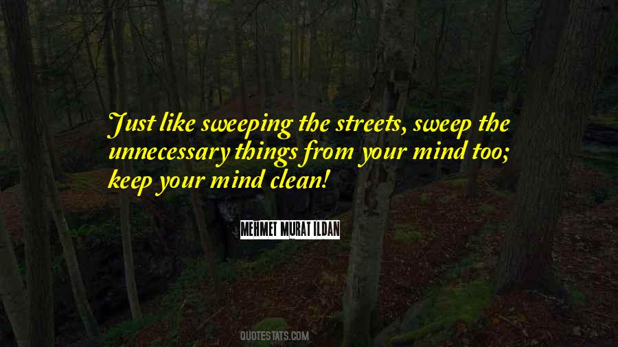 Clean Your Mind Quotes #798389