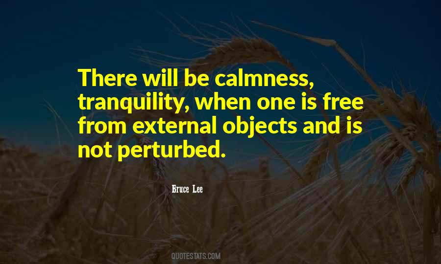 Not Perturbed Quotes #1099587