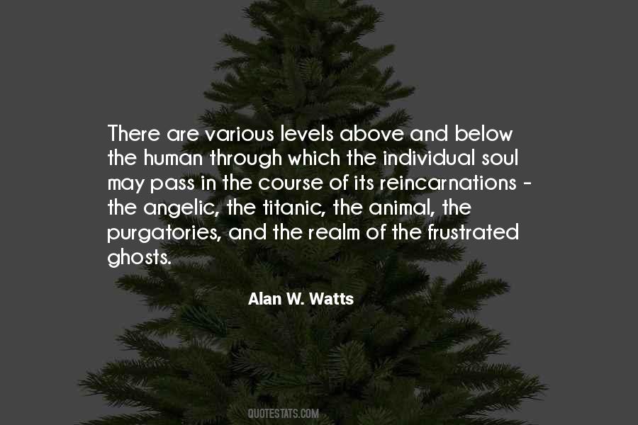 Soul Reincarnation Quotes #1188012