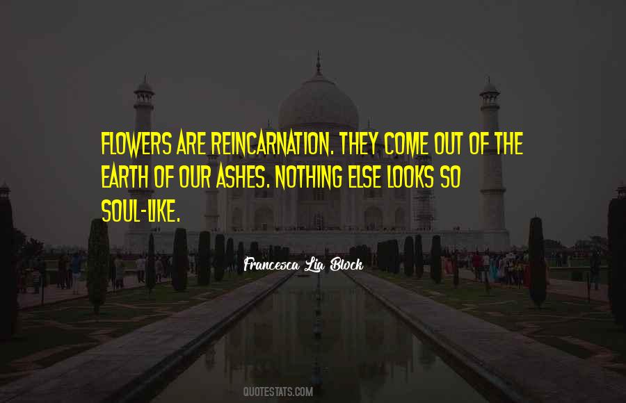 Soul Reincarnation Quotes #1526119