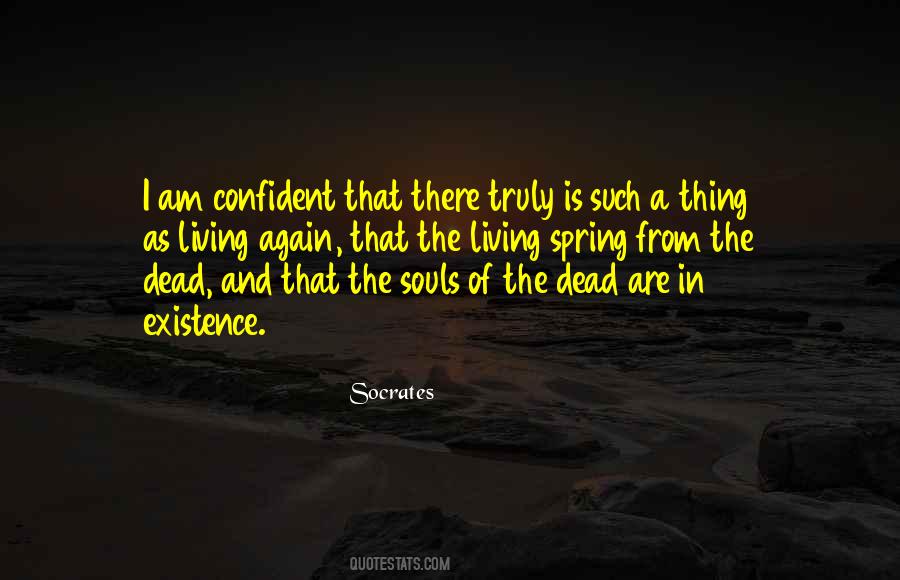 Soul Reincarnation Quotes #1828277