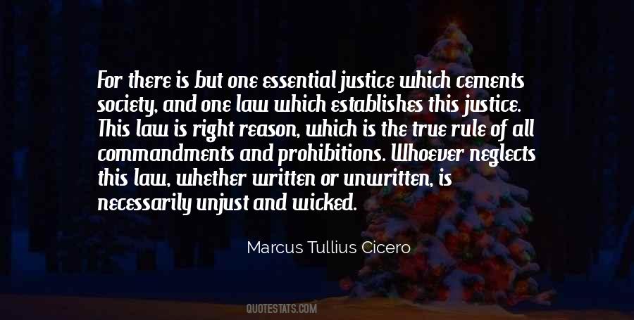 Unjust Law Quotes #27465