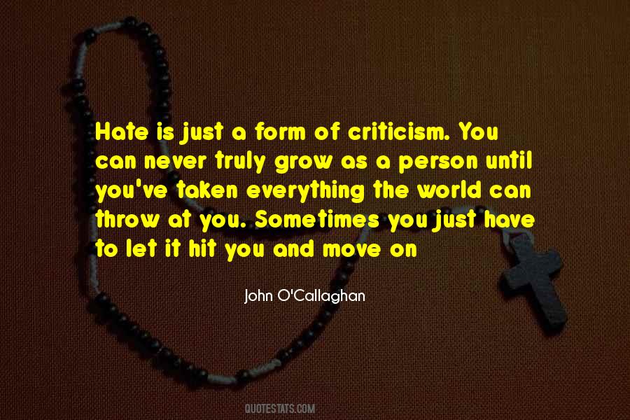 Hate The Person Quotes #192187