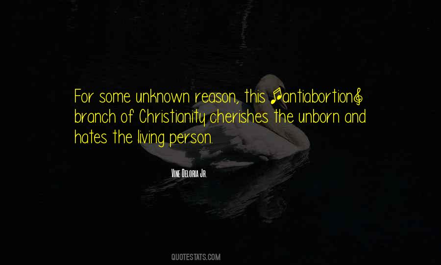 Hate The Person Quotes #343767