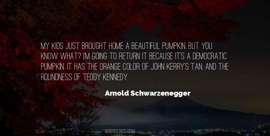 A Beautiful Home Quotes #16187