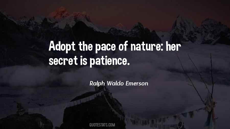 Pace Of Nature Quotes #672912