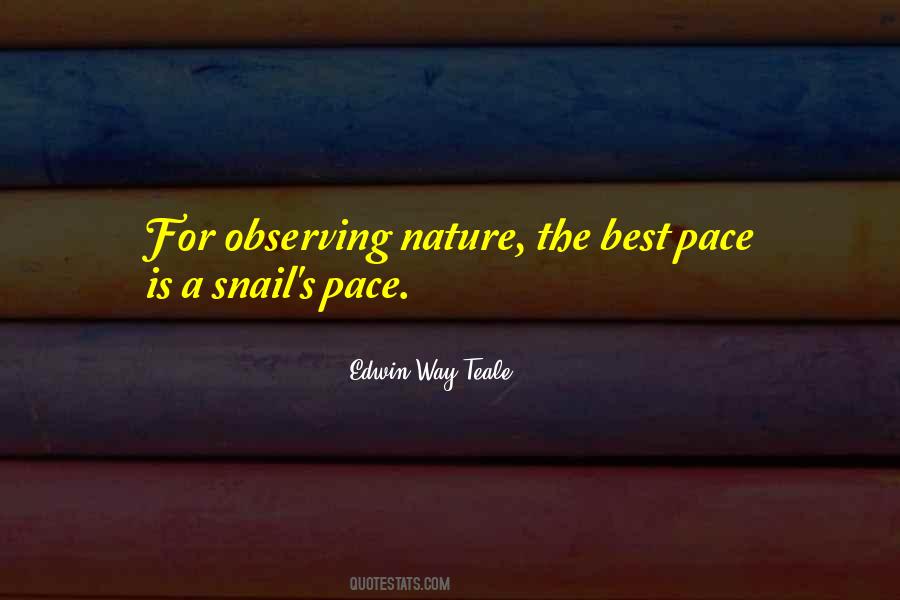 Pace Of Nature Quotes #878933