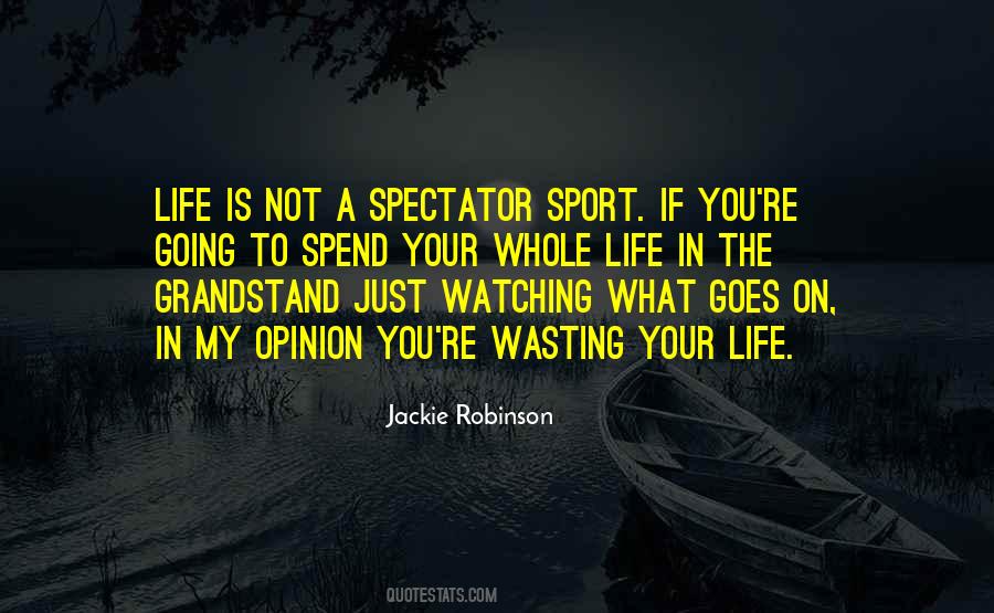 Spectator Sport Quotes #988014