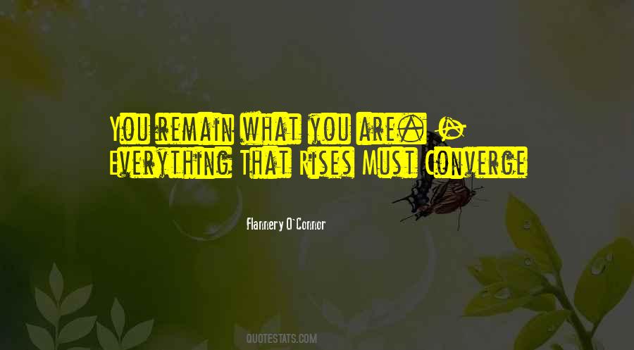 Everything That Rises Must Converge Quotes #496405