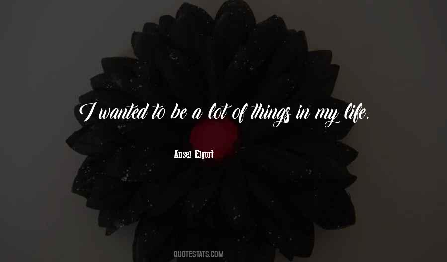 Ansel Quotes #163420