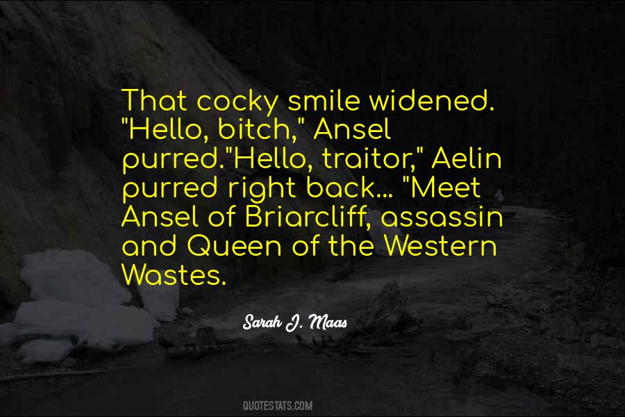 Ansel Quotes #343391
