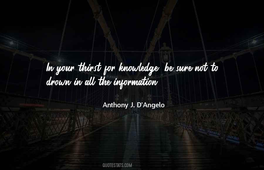 Anthony J D Angelo Quotes #1084867