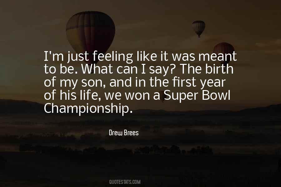 Football Championship Quotes #1514484