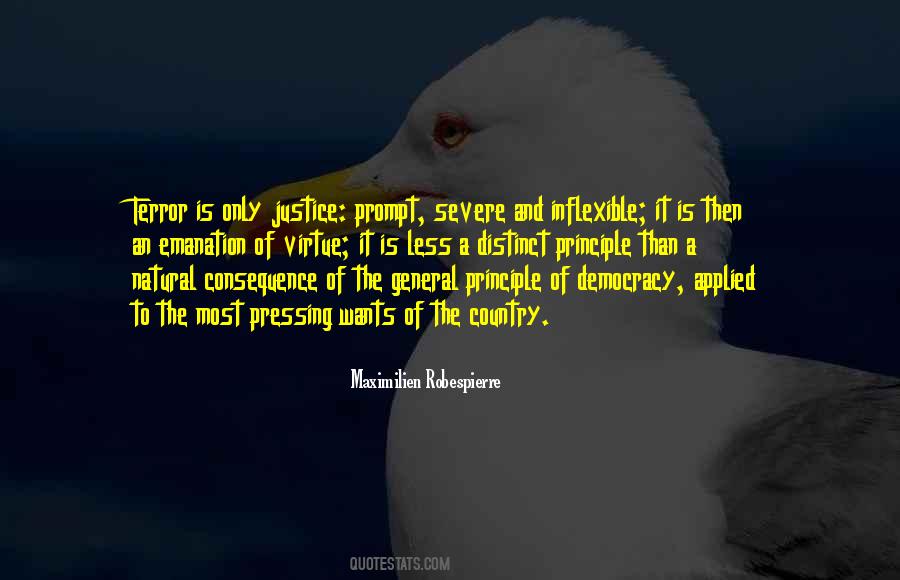 Natural Justice Quotes #983291