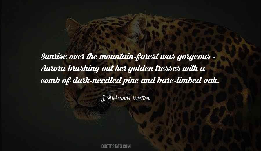 Quotes About Mountain Hiking #674359