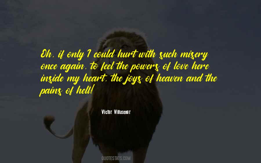 Pain Of The Misery Quotes #509570