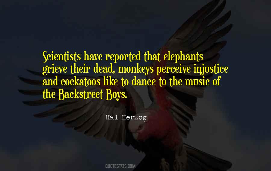 Animal Cognition Quotes #746157