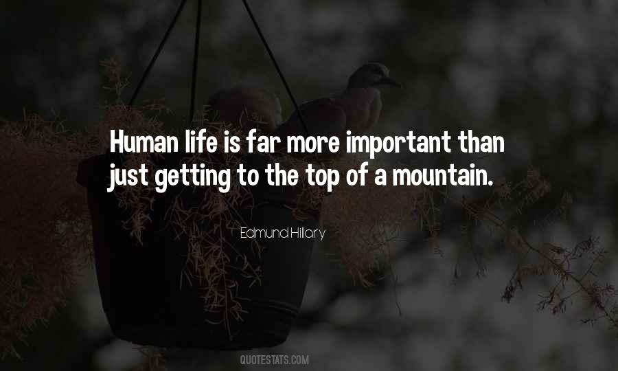 Top Of A Mountain Quotes #509656