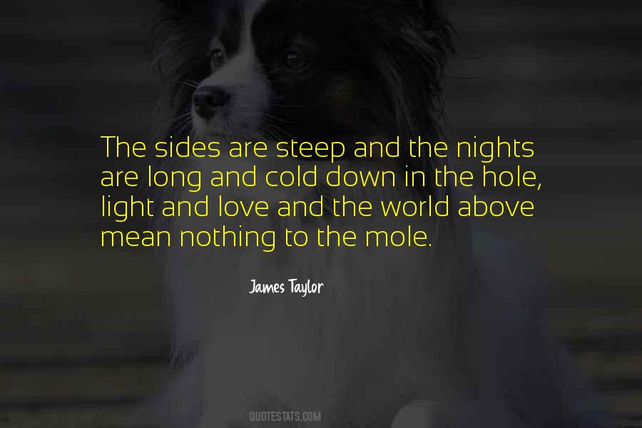 Long Nights Quotes #394282