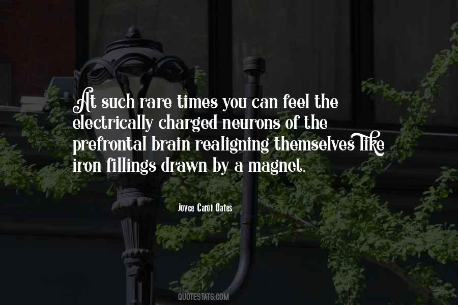 Appetite For Destruction Quotes #895204