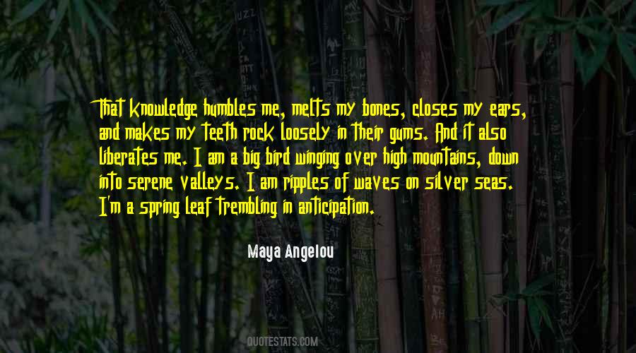 Humbles Me Quotes #1455048