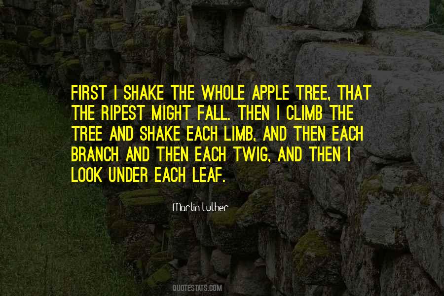 Apple And Fall Quotes #126252