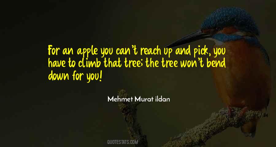 Apple And Tree Quotes #105882
