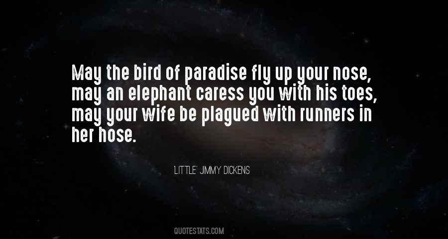 Little Paradise Quotes #1480568