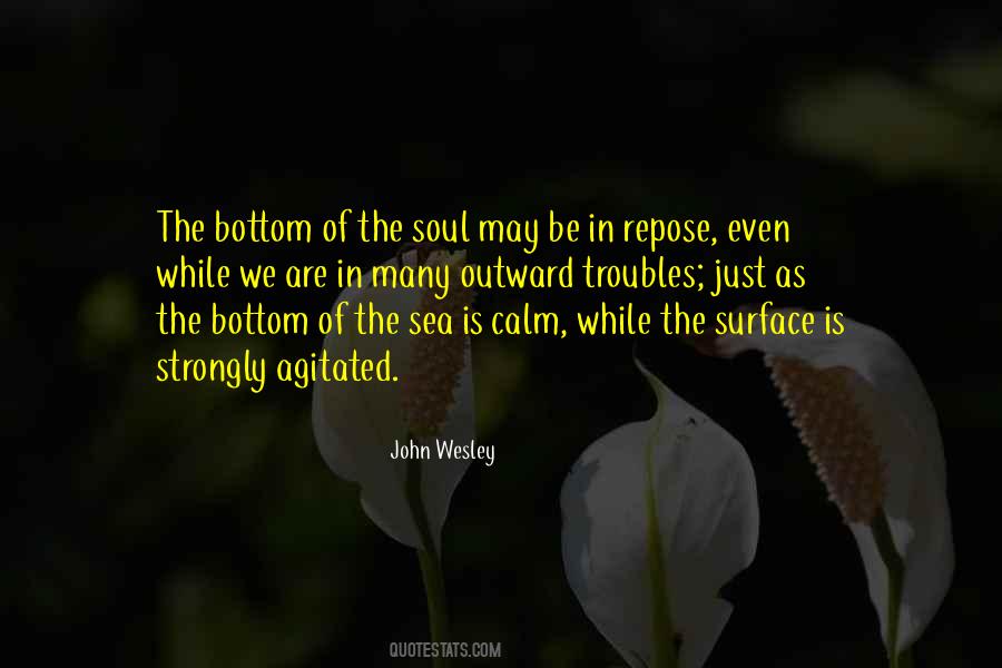 Calm On The Surface Quotes #1392606