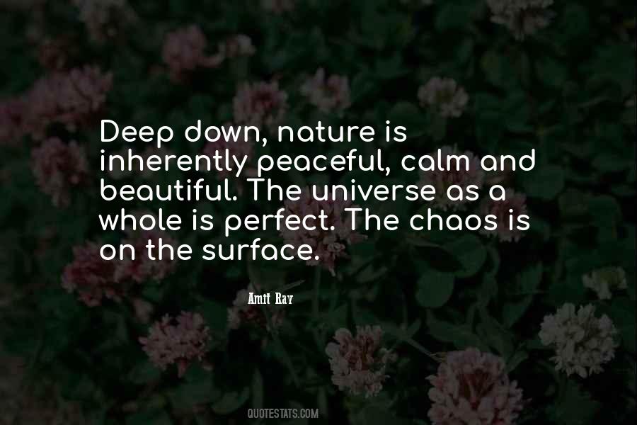 Calm On The Surface Quotes #1846903