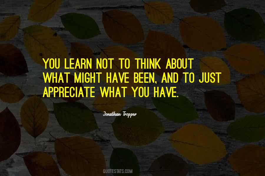 Appreciate What You Have Quotes #232904