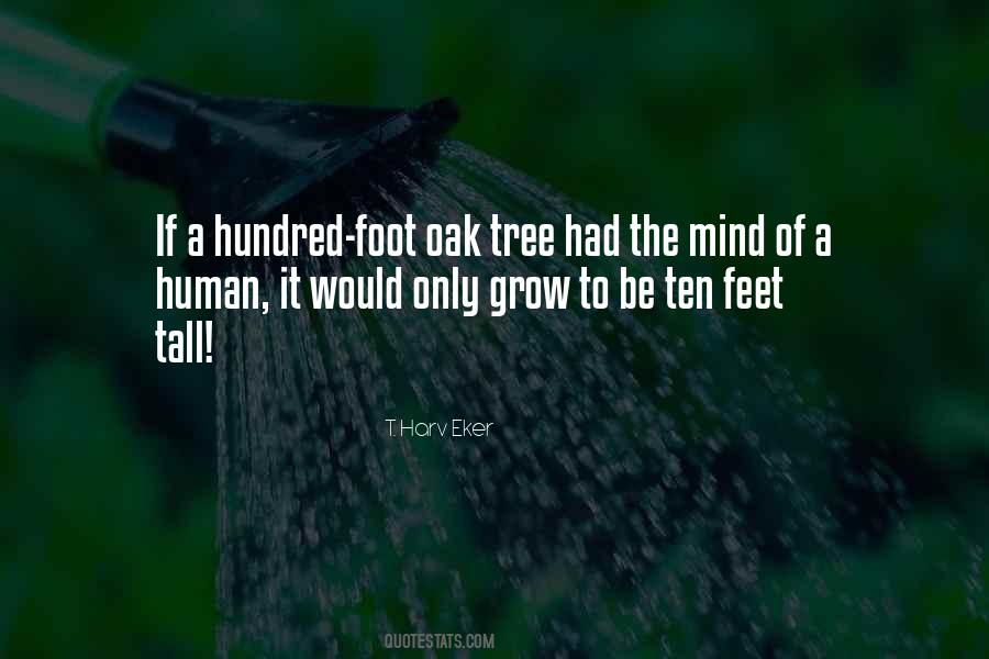 Tall Tree Quotes #1388046