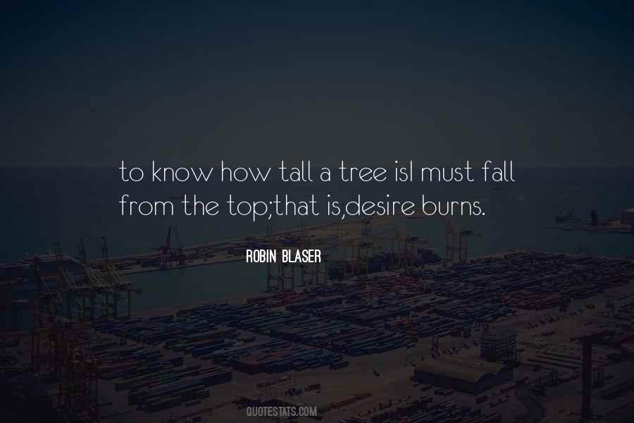 Tall Tree Quotes #369272