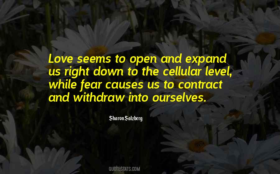 Turkish Author Quotes #1386116